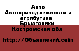 Авто Автопринадлежности и атрибутика - Брызговики. Костромская обл.